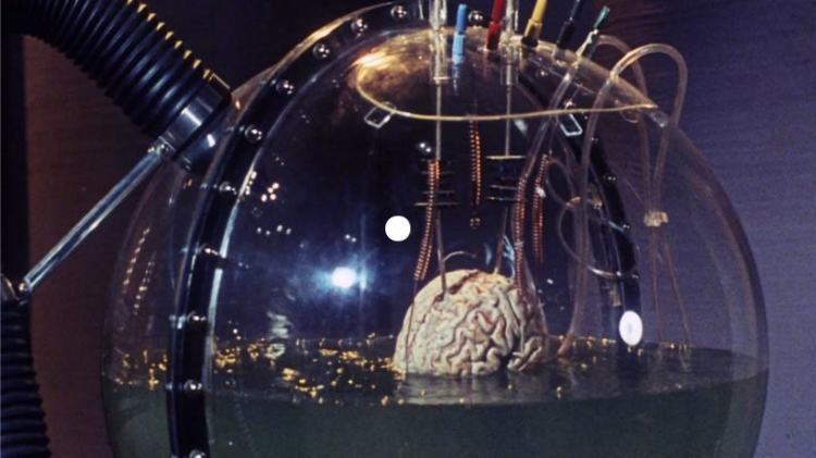 Brain in a jar